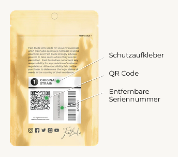 Samen 3x Original Blueberry Automatik Fast Buds